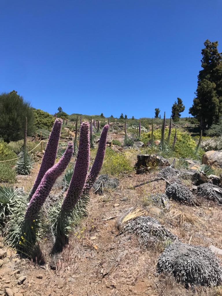 Finca Caboquitos Garafía Zewnętrze zdjęcie